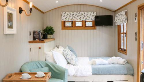 Little Silver Leaf - Foto 5