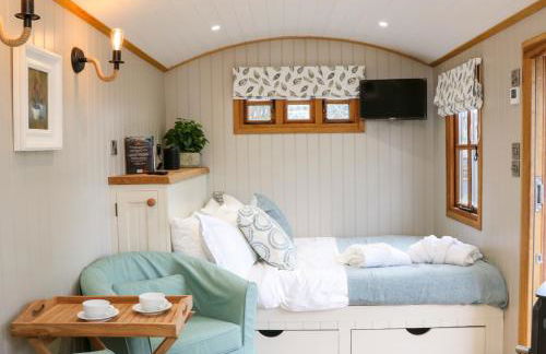 Little Silver Leaf - Foto 5