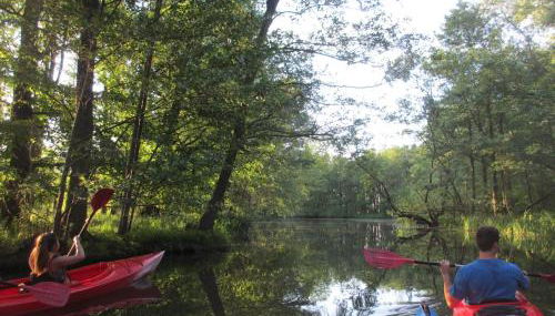 BluGarden Ferienapartments im Spreewald - Foto 4