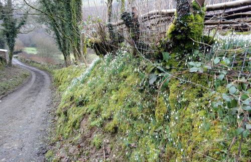 Nethercote Byre - Photo 10