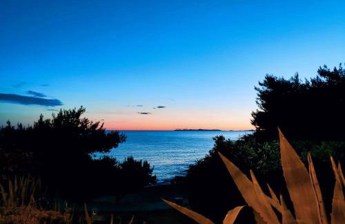 Apartments Galeb - Photo 53