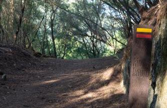 Cherry Douro Hill - Foto 24