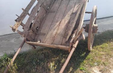 The Cottage near the lake - Foto 24