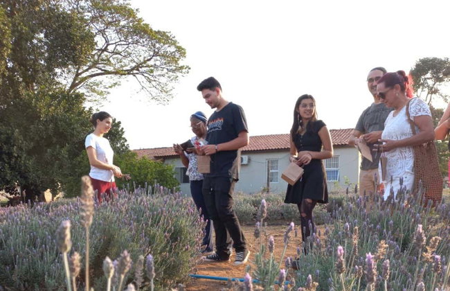 Tour privado por Holambra - Foto 4