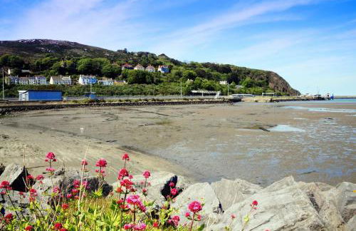 Harbour View Fishguard - Photo 14