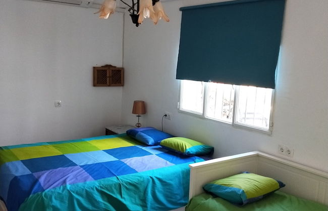 Studio Tropical - Foto 4