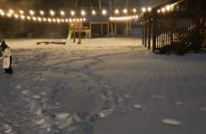 Siedlisko pod brzozami - Foto 19