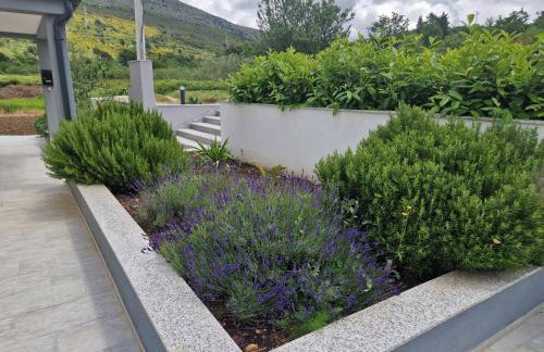 villa green valley - Photo 42