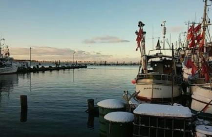 FW Einfeldt - Foto 18