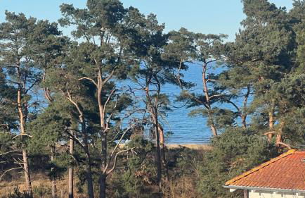 Appartement Meeresrauschen - Foto 16