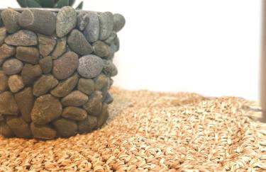 Restia House - Foto 23