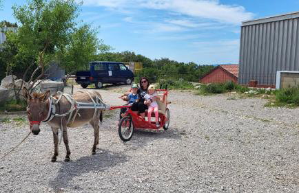Villa Suzi - Family Farm Stay with Donkeys, Pool and Sea View near Rijeka - Photo 15