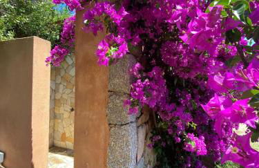 Villa Erica a Valle Dell Erica - Photo 56