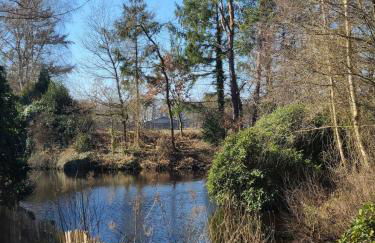 Ferienhaus Voigt - Foto 9