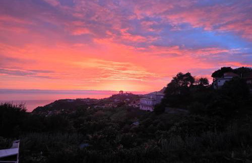 Luci's House - Foto 25