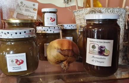 Agriturismo San Silvestro - Foto 9