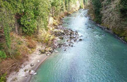 Chase's River Cabin - Hot-tub Firepit & Fireplace - Foto 30