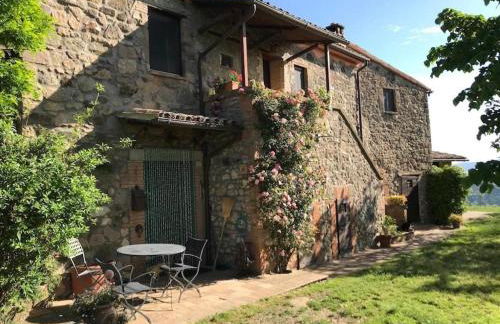 Podere Porcino - Foto 74