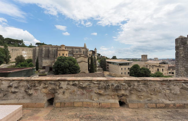 AS Palau dels Alemanys - Foto 79