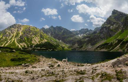 Apartament Nad Tatrzańską Pasieką - Foto 44