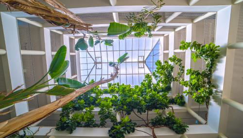 Vila Petra - Foto 4, Garden