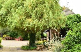 Lincoln Holiday Retreat Cottage with Private Hot Tub - Foto 42