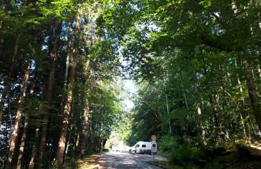 Haus Seidelbast - Foto 23