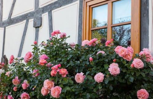 Fachwerktraum im Hof - Foto 6