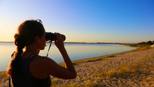 Senderismo por la laguna Garzón - Foto 5, Utilizando los prismáticos para ver las aves