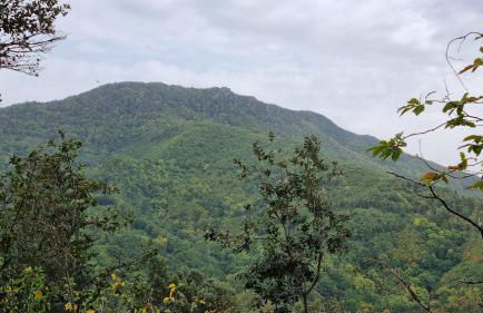 Ca la Pauleta - Foto 63