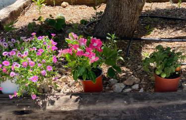 Jávea Villa entière piscine et cuisine d'été à pinosol - Foto 71