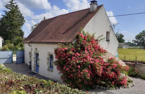 Maison de vendanges rénovée avec WIFI et animaux admis - FR-1-489-178 - Foto 17