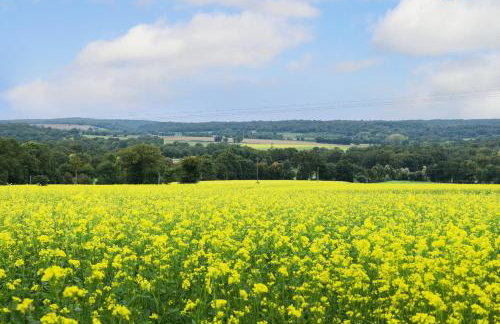 Gîte La Clémençaie - Foto 9