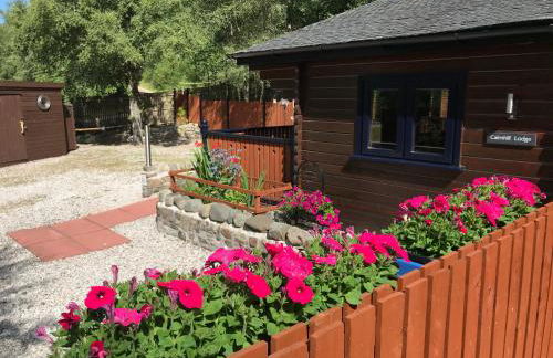 Cairnhill Lodge - Award-Winning Luxury Highland Retreat - Photo 17