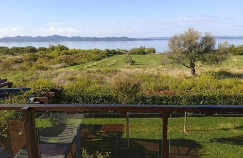 Anastazia - Photo 14