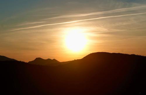 Les Chatcureuils - Foto 25