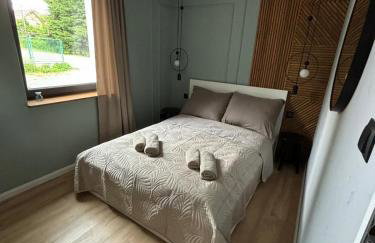 Dach Pod Sową Apartament GS - Foto 8