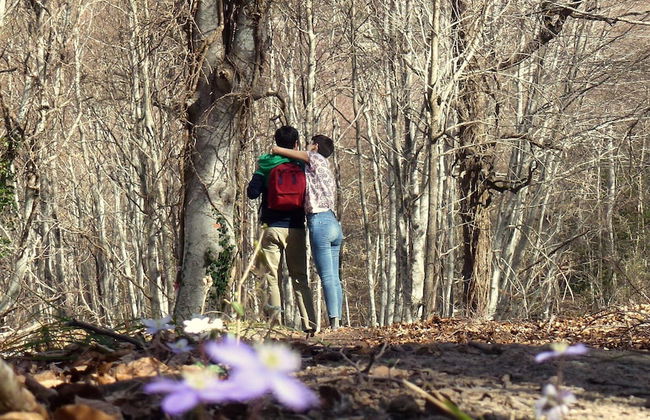 Molino del Corregidor - Foto 92