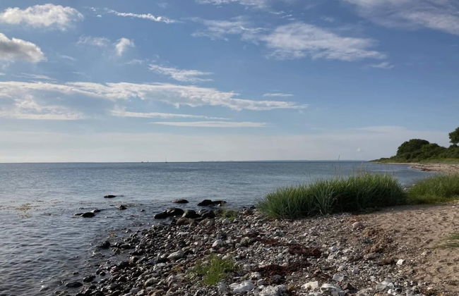 4 Person Holiday Home in Frorup - Photo 36