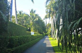 Hemingway Suites at Palm Beach Hotel Island - Photo 55