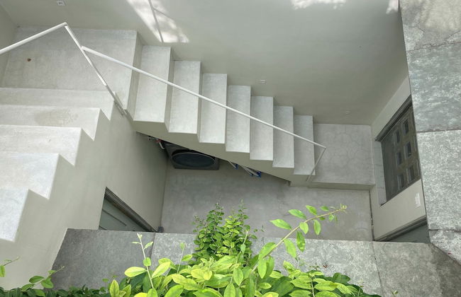 Smiling Sparrows - Foto 30