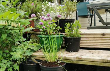 Doughery Den The Dark Hedges Hideaway - Foto 6