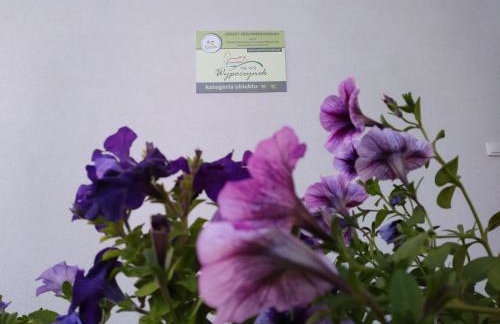 Agroturystyka Struzka - Foto 8