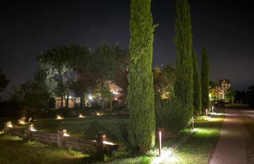 Más Figueres - Foto 43