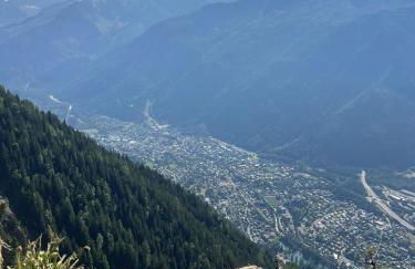 Appartement cosy au pied du MtBlanc - Photo 36