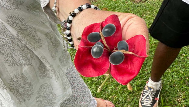 Visita guiada por Kingstown - Foto 2