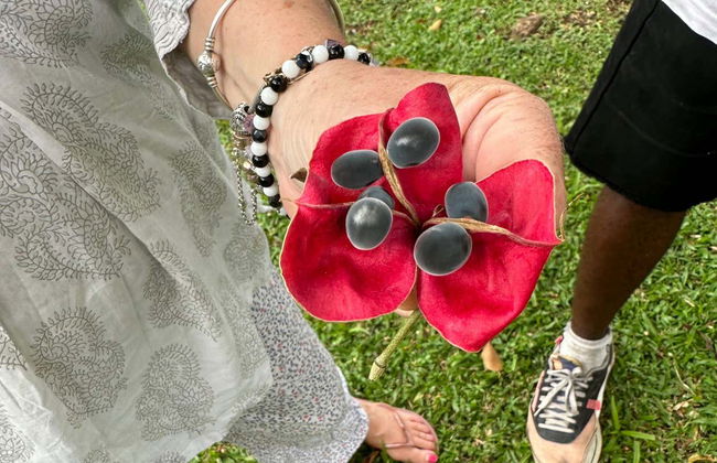 Visita guiada por Kingstown - Foto 2