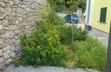 Primavera - Photo 18