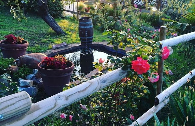 Podere Cortesi Agriturismo Molinaccio - Foto 35