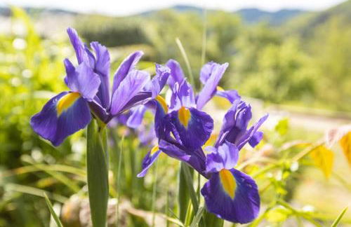 Les Hôtes du Chataignier - Foto 35